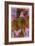 Indianisch-Paul Klee-Framed Giclee Print