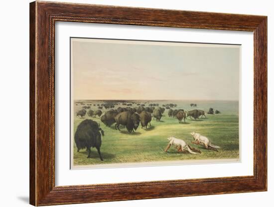 Indians Hunting the Buffalo under a Wolf-Skin Mask, from 'Illustrations of the Manners, Customs & C-George Catlin-Framed Giclee Print