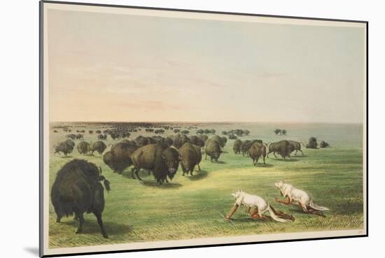 Indians Hunting the Buffalo under a Wolf-Skin Mask, from 'Illustrations of the Manners, Customs & C-George Catlin-Mounted Giclee Print