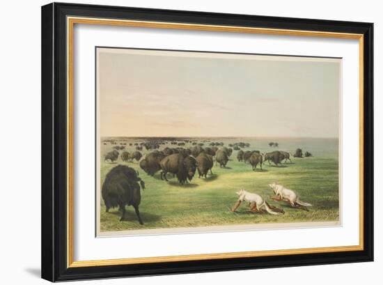 Indians Hunting the Buffalo under a Wolf-Skin Mask, from 'Illustrations of the Manners, Customs & C-George Catlin-Framed Giclee Print