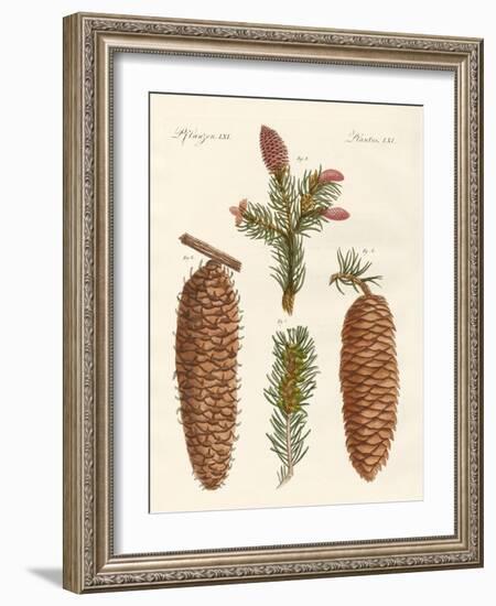 Indigenous Coniferous Woods-null-Framed Giclee Print