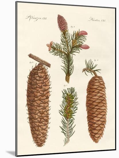 Indigenous Coniferous Woods-null-Mounted Giclee Print