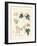 Indigenous Spice Plants-null-Framed Giclee Print