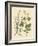 Indigenous Spice Plants-null-Framed Giclee Print