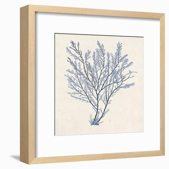 Indigo Algae II-Jennifer Goldberger-Framed Art Print