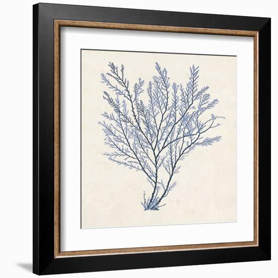 Indigo Algae II-Jennifer Goldberger-Framed Art Print