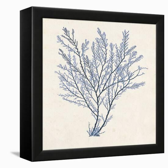 Indigo Algae II-Jennifer Goldberger-Framed Stretched Canvas