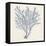 Indigo Algae II-Jennifer Goldberger-Framed Stretched Canvas