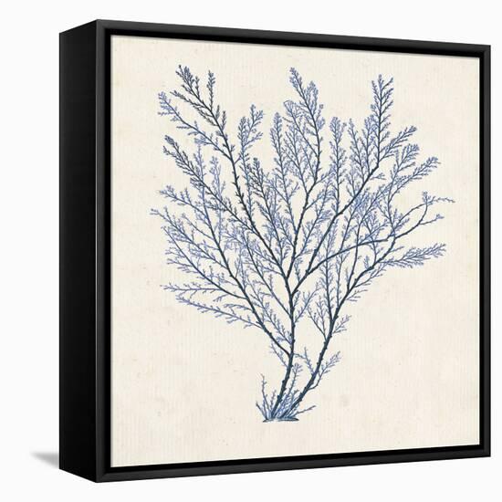 Indigo Algae II-Jennifer Goldberger-Framed Stretched Canvas