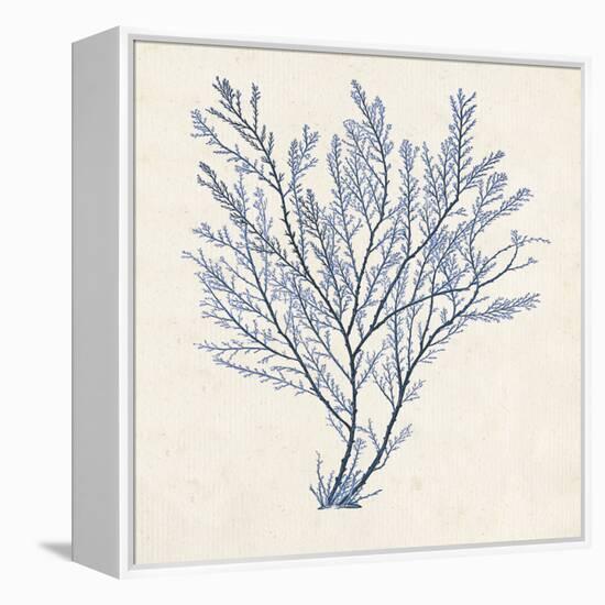 Indigo Algae II-Jennifer Goldberger-Framed Stretched Canvas