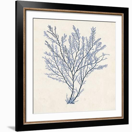 Indigo Algae II-Jennifer Goldberger-Framed Art Print