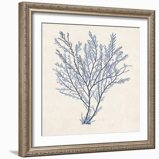 Indigo Algae II-Jennifer Goldberger-Framed Art Print