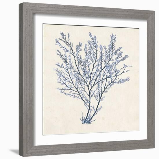 Indigo Algae II-Jennifer Goldberger-Framed Art Print