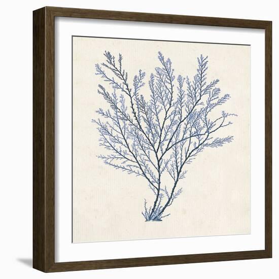 Indigo Algae II-Jennifer Goldberger-Framed Art Print