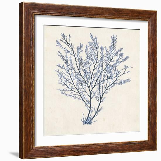 Indigo Algae II-Jennifer Goldberger-Framed Art Print