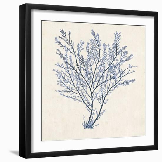 Indigo Algae II-Jennifer Goldberger-Framed Art Print