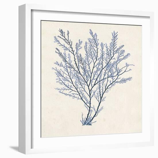 Indigo Algae II-Jennifer Goldberger-Framed Art Print