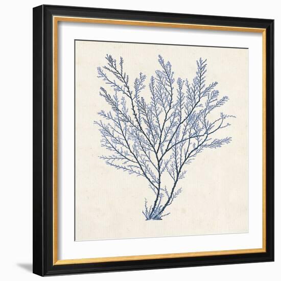 Indigo Algae II-Jennifer Goldberger-Framed Art Print