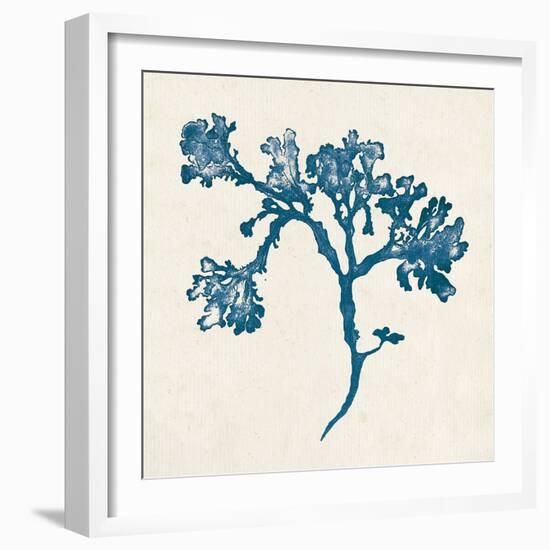 Indigo Algae IV-Jennifer Goldberger-Framed Art Print