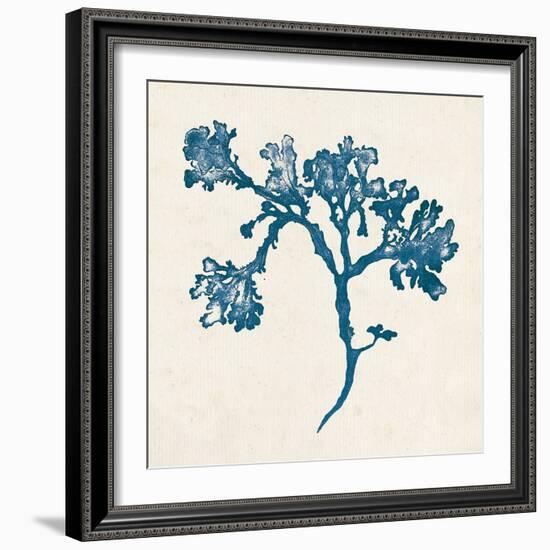 Indigo Algae IV-Jennifer Goldberger-Framed Art Print