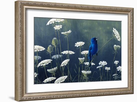 Indigo and Lace - Indigo Bunting-Wilhelm Goebel-Framed Giclee Print