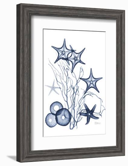 Indigo Aquatic Universe 2-Albert Koetsier-Framed Photographic Print