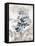 Indigo Bloom II-John Butler-Framed Stretched Canvas