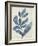 Indigo Blue Seaweed 2 a-Fab Funky-Framed Art Print