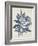 Indigo Blue Seaweed 2 b-Fab Funky-Framed Art Print