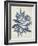 Indigo Blue Seaweed 2 b-Fab Funky-Framed Art Print