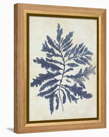 Indigo Blue Seaweed 2 b-Fab Funky-Framed Stretched Canvas