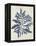 Indigo Blue Seaweed 2 b-Fab Funky-Framed Stretched Canvas