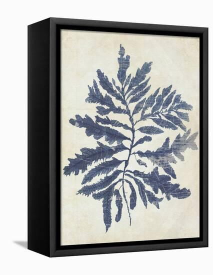 Indigo Blue Seaweed 2 b-Fab Funky-Framed Stretched Canvas