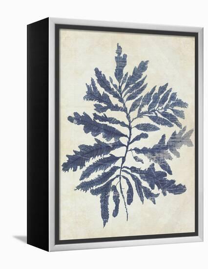 Indigo Blue Seaweed 2 b-Fab Funky-Framed Stretched Canvas