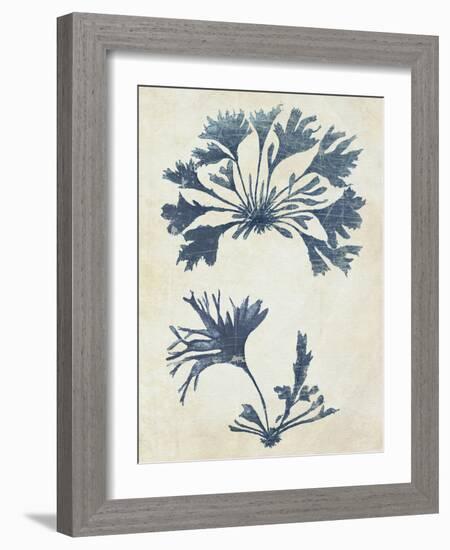 Indigo Blue Seaweed 2 d-Fab Funky-Framed Art Print