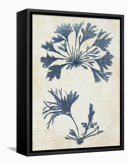 Indigo Blue Seaweed 2 d-Fab Funky-Framed Stretched Canvas