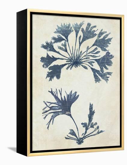 Indigo Blue Seaweed 2 d-Fab Funky-Framed Stretched Canvas