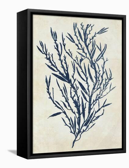 Indigo Blue Seaweed 3 b-Fab Funky-Framed Stretched Canvas