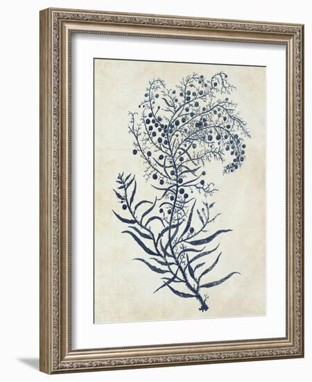 Indigo Blue Seaweed 3 c-Fab Funky-Framed Art Print