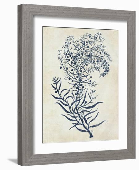 Indigo Blue Seaweed 3 c-Fab Funky-Framed Art Print