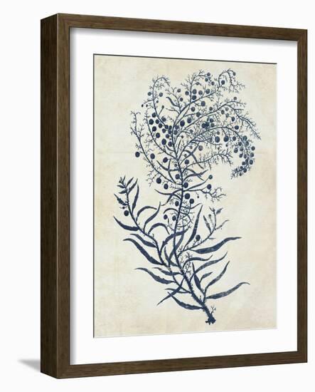 Indigo Blue Seaweed 3 c-Fab Funky-Framed Art Print