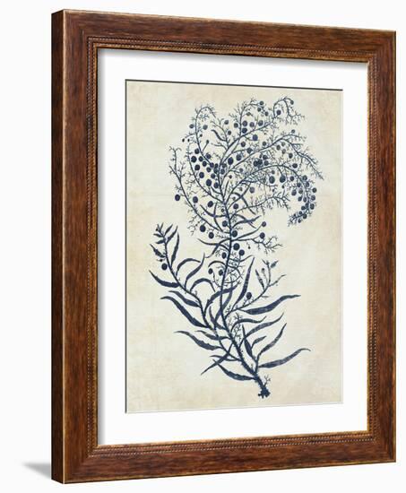 Indigo Blue Seaweed 3 c-Fab Funky-Framed Art Print