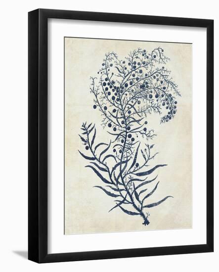 Indigo Blue Seaweed 3 c-Fab Funky-Framed Art Print