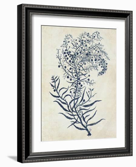 Indigo Blue Seaweed 3 c-Fab Funky-Framed Art Print