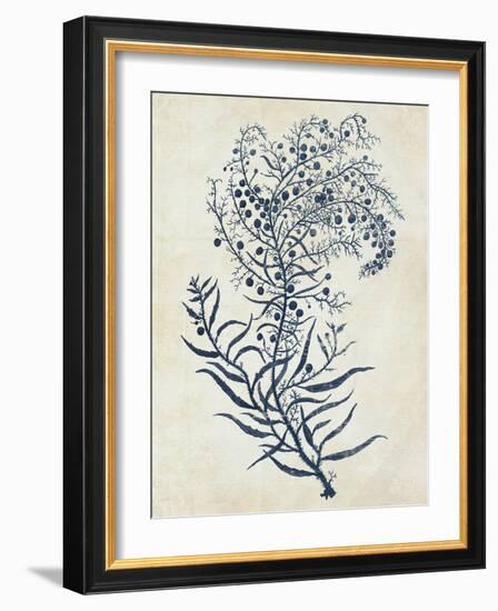 Indigo Blue Seaweed 3 c-Fab Funky-Framed Art Print