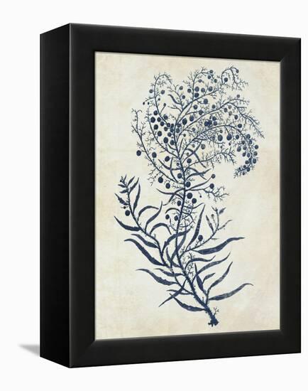 Indigo Blue Seaweed 3 c-Fab Funky-Framed Stretched Canvas