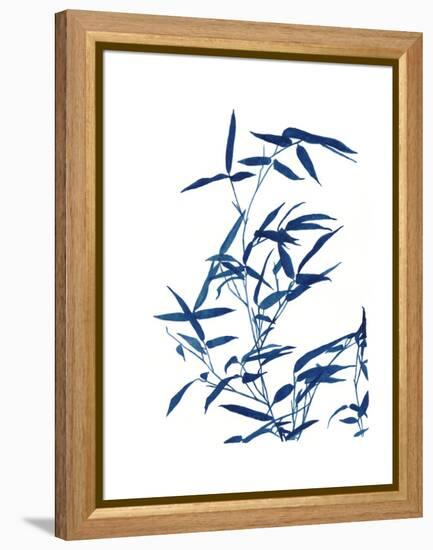 Indigo Botanica I-Naomi McCavitt-Framed Stretched Canvas