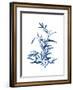 Indigo Botanica II-Naomi McCavitt-Framed Art Print