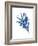 Indigo Botanica III-Naomi McCavitt-Framed Art Print