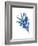 Indigo Botanica III-Naomi McCavitt-Framed Art Print